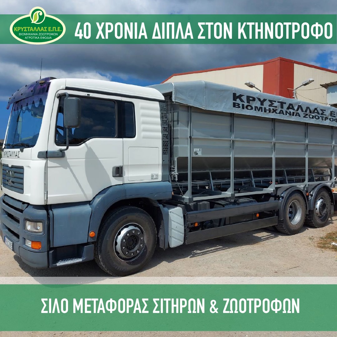 214612602 2537065696589500 6501097117154404280 n