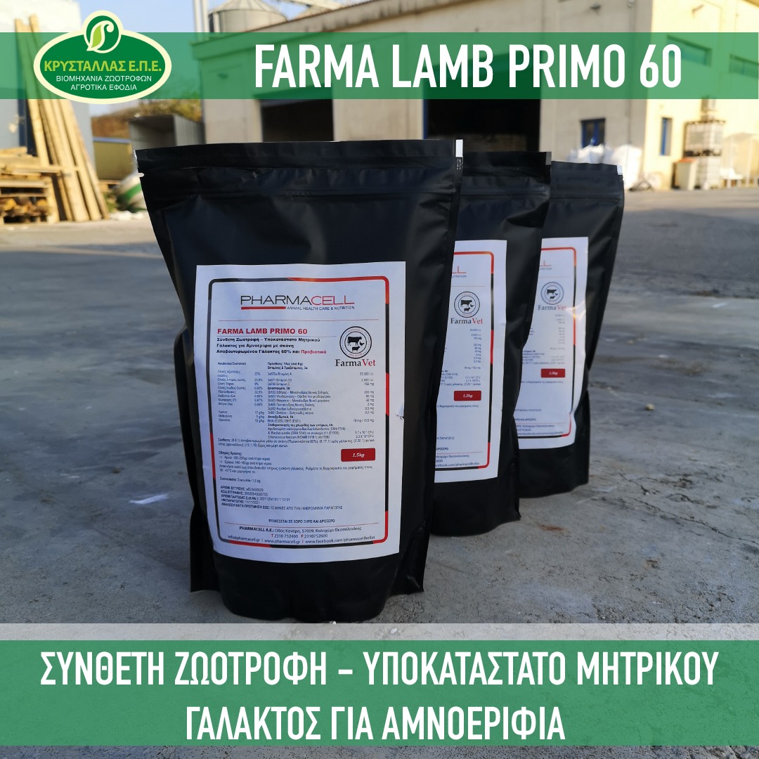 257288387 2624116471217755 1352050501100900812 n