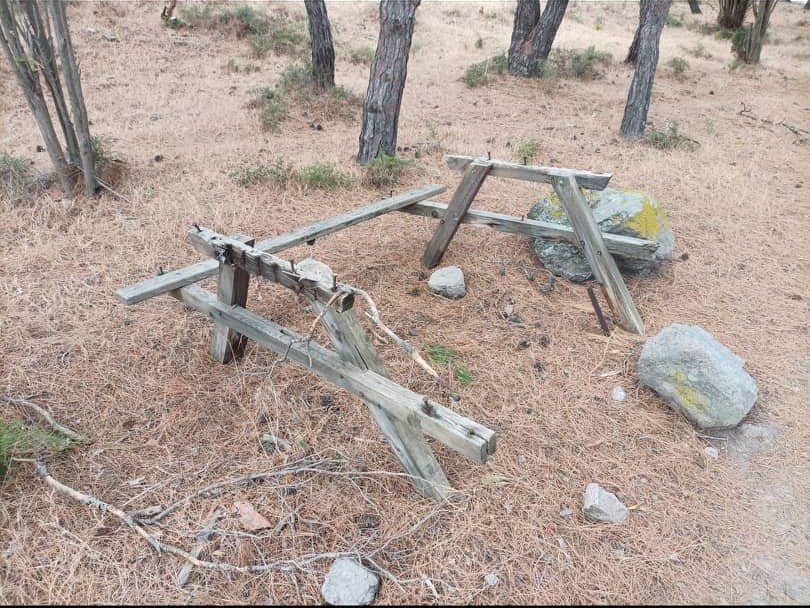 290327186 3320656694831970 5754246744680492312 n