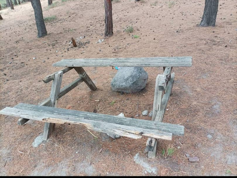 290353841 631867091102459 3454977376979218968 n