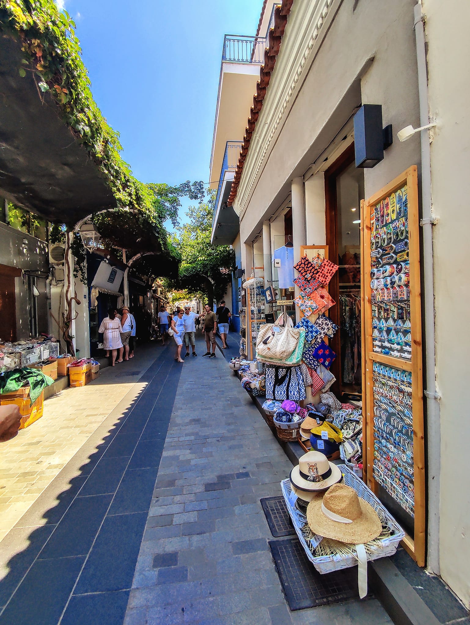 293119554 1419696588453835 4644231135174441584 n