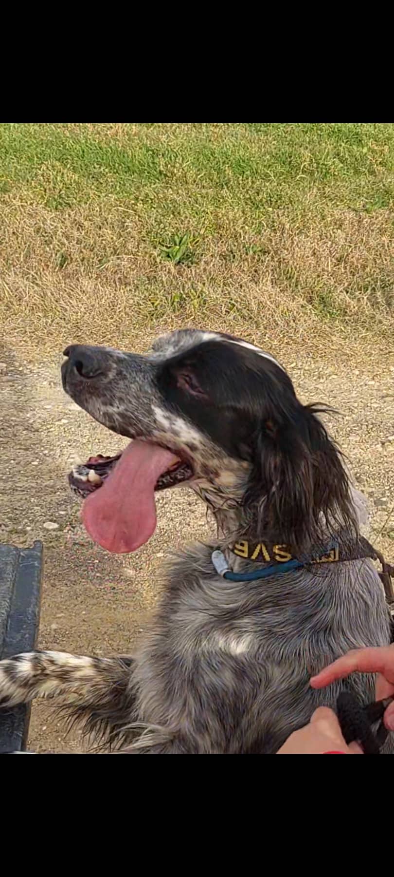 309351432 449458580496964 3000757742638598798 n