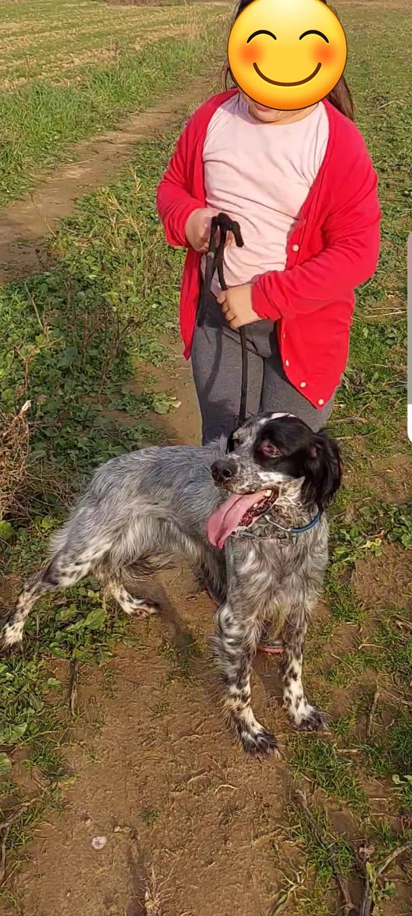 309717352 778115733297167 5996624062862480866 n