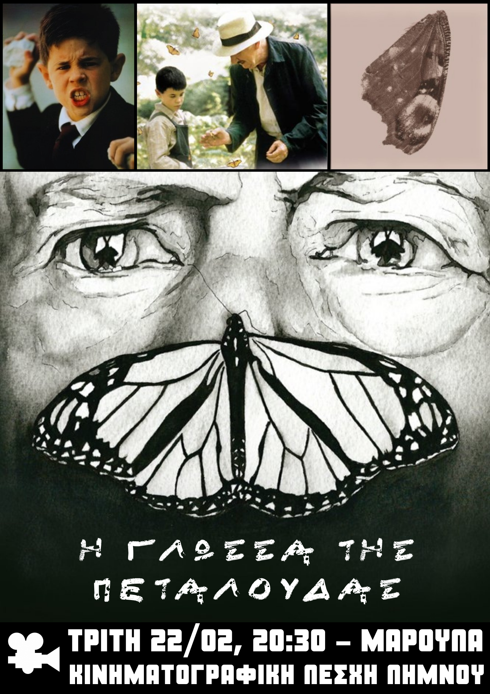 Butterfly Poster