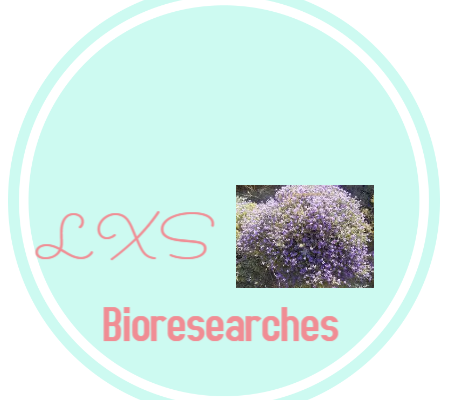 LOGO 455x400