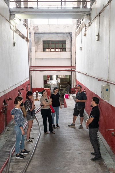 Lemnos Philema 2022 photo by Pantelis Pravlis Limnos Wines 7