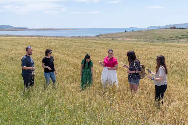 Lemnos Philema 2022 photo by Pantelis Pravlis Oikogeneia Poriazi 53