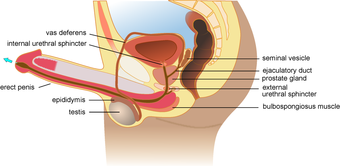 stytiki_dysleitourgia