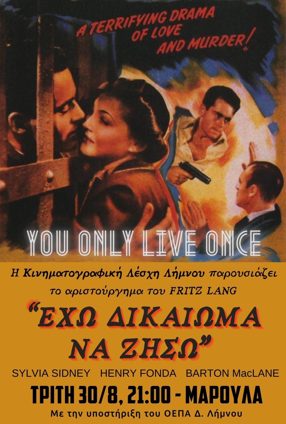 yolo2