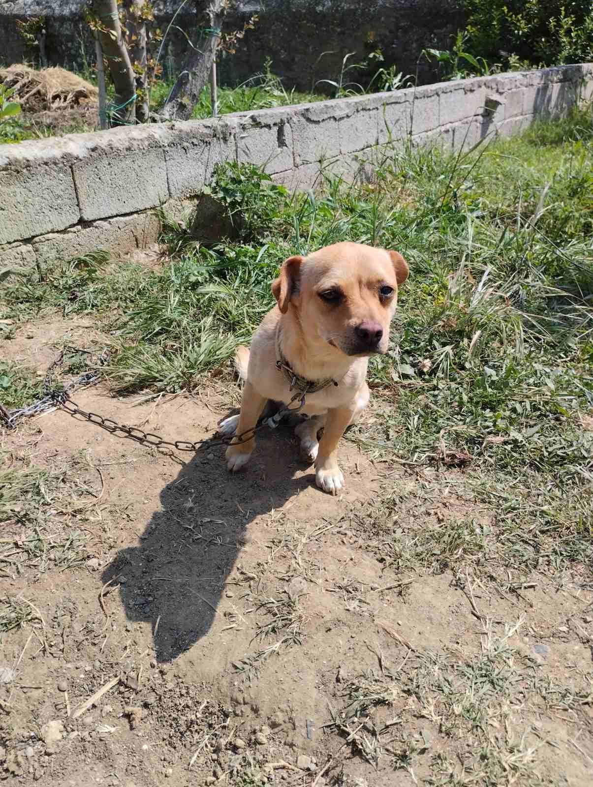 353413789 6419999891353533 1398499491621454670 n