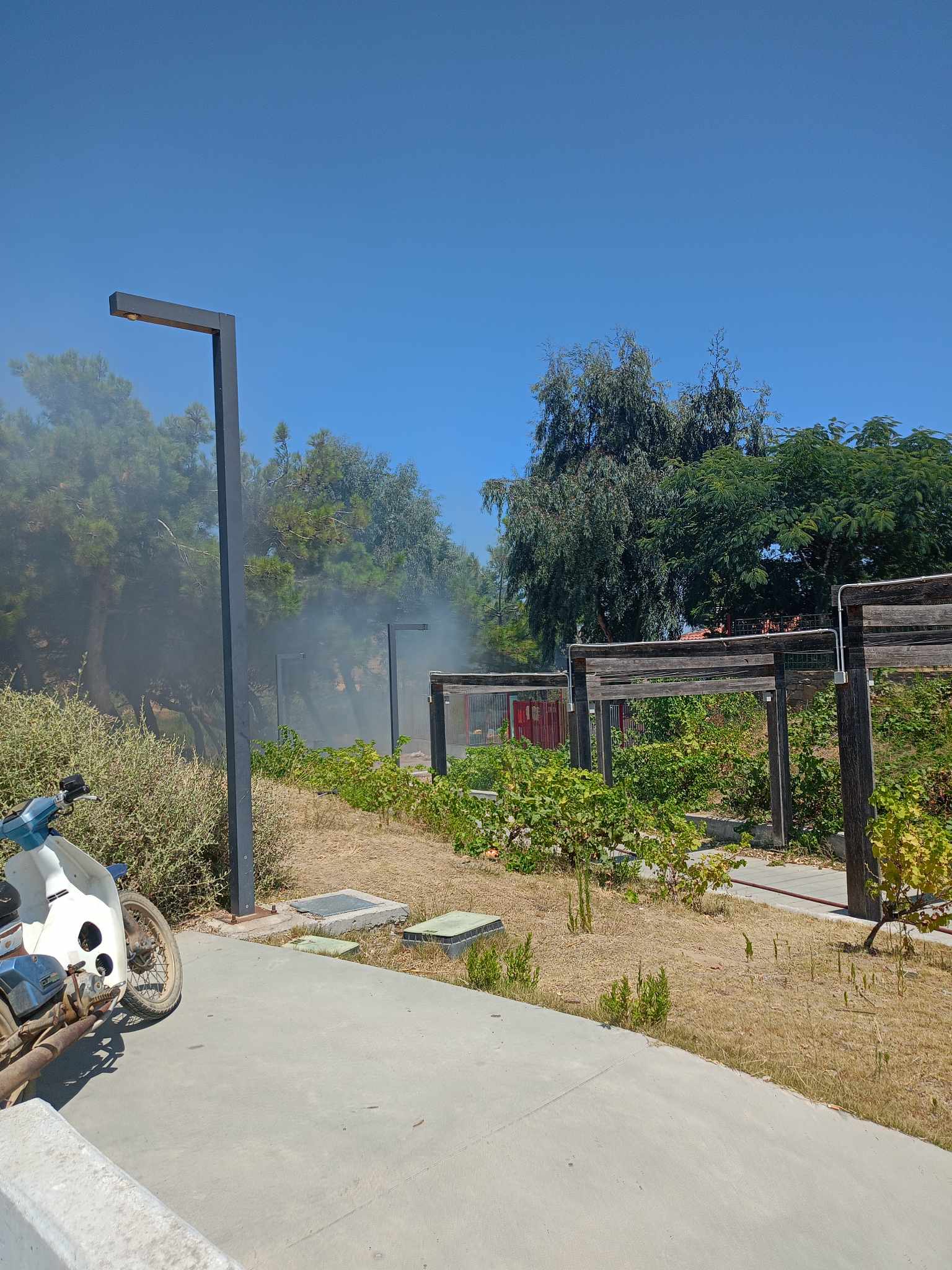 364538670 611685094283800 4501636199445730219 n