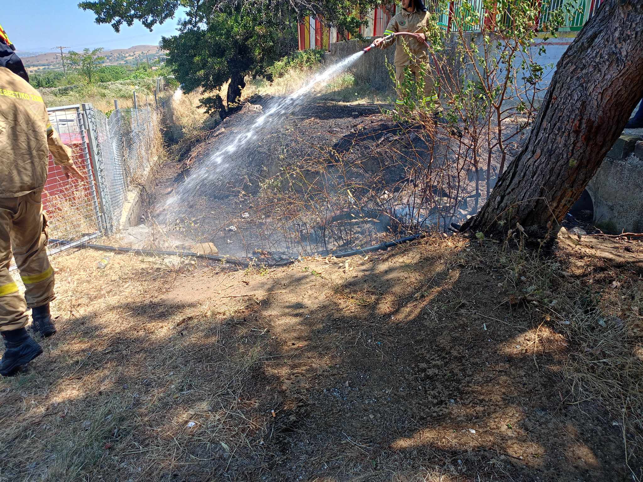 364541592 938099583930142 3991822400838028979 n