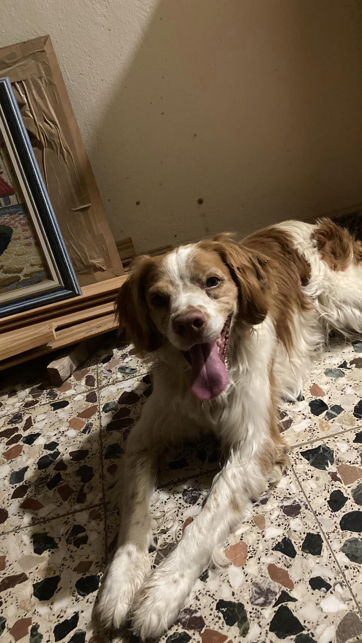 366002509 3641228739442382 5463843595926768979 n