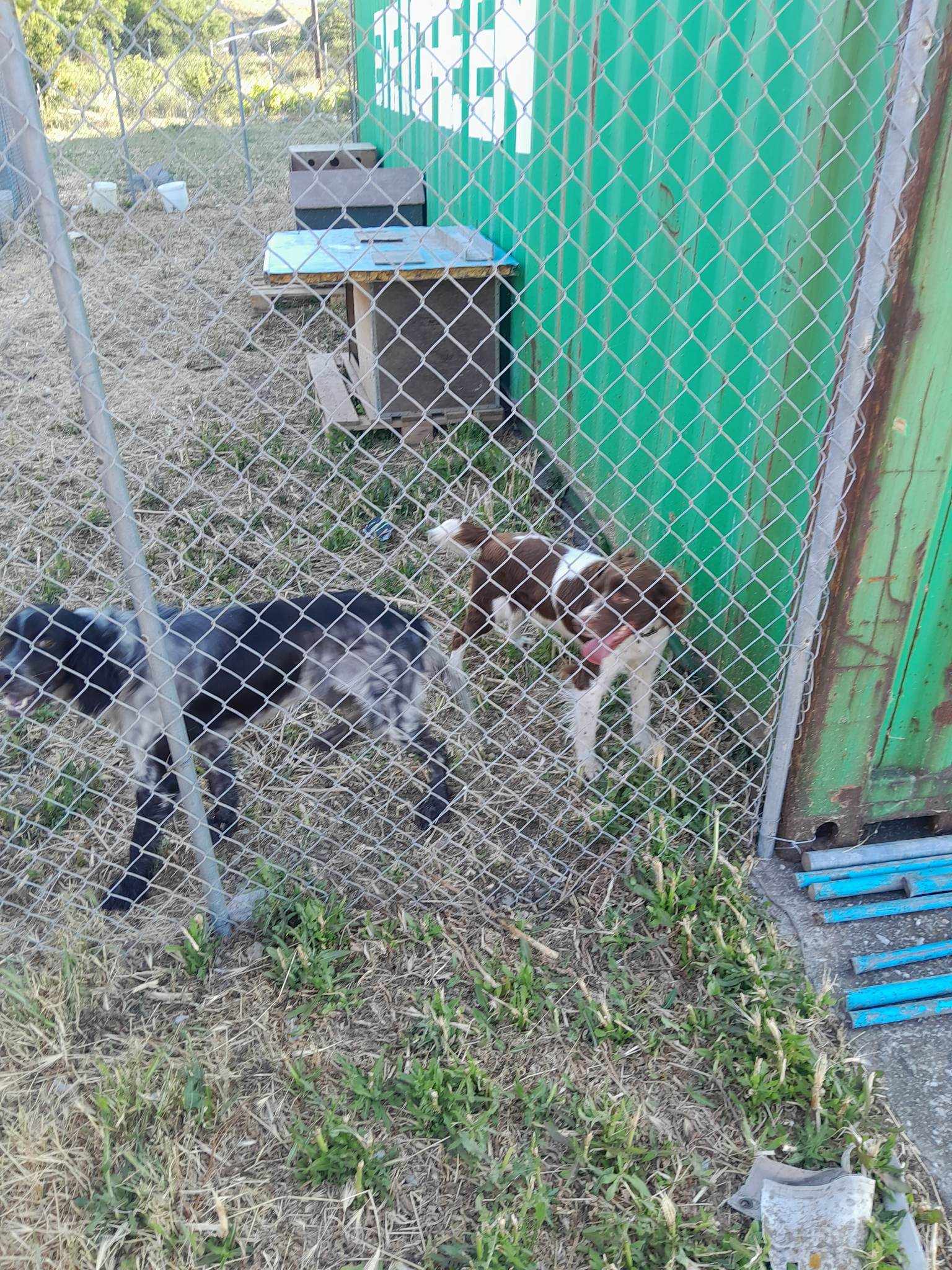 378106812 1062395081800263 1044035654438055054 n