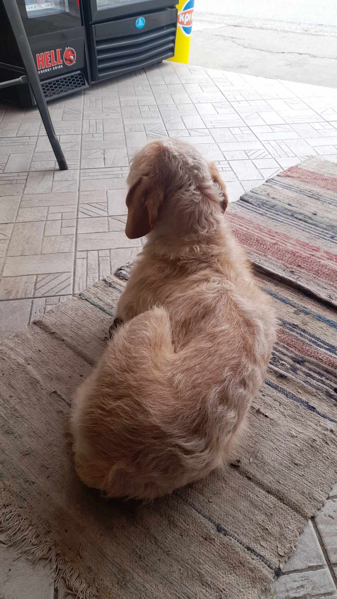 405266665 1871793529942465 5607163858488031866 n