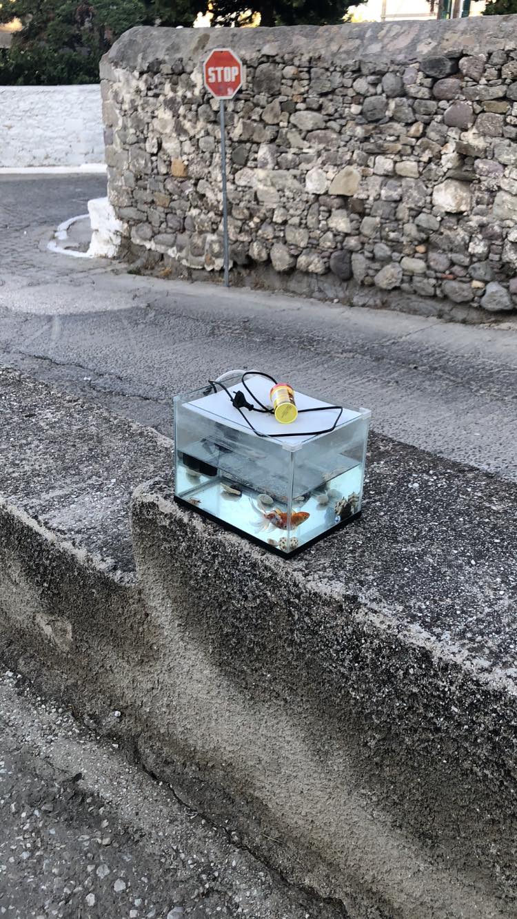 453175525 10228733084049732 82685806773699120 n