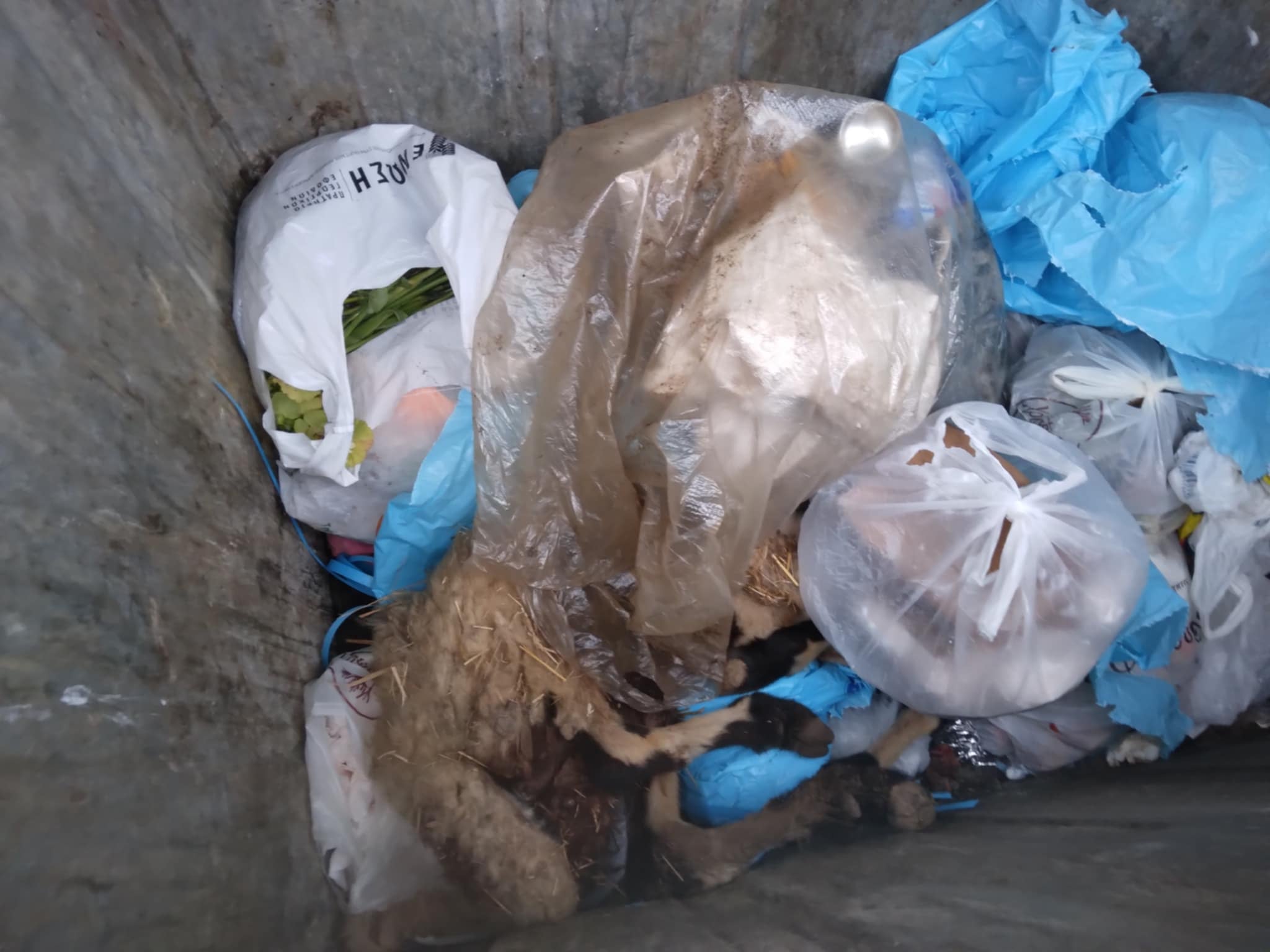 48218bc3 d403 4b59 a0b9 c79b42c90e1a