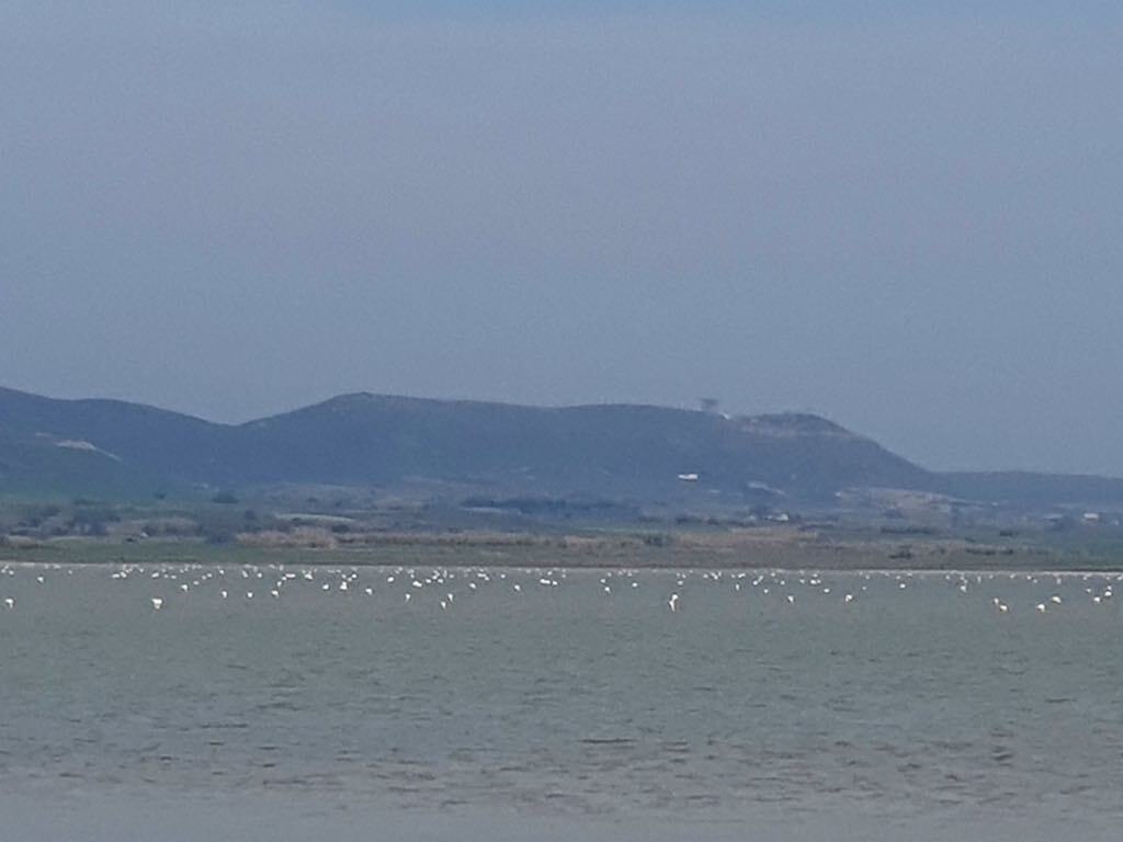 ab29f560 aeb1 4621 991a f05ef1390621