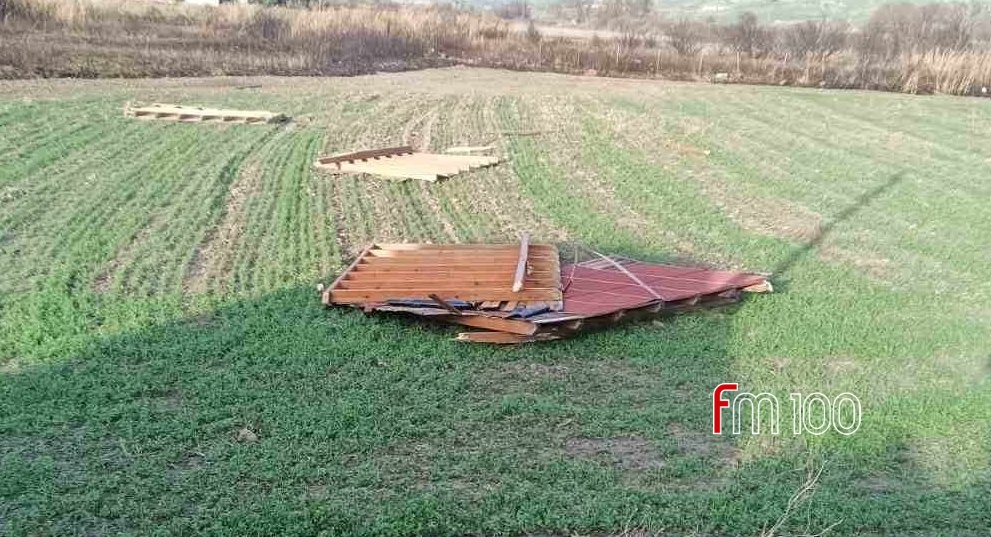 batch 416043743 2783289588487122 8582981423373040245 n