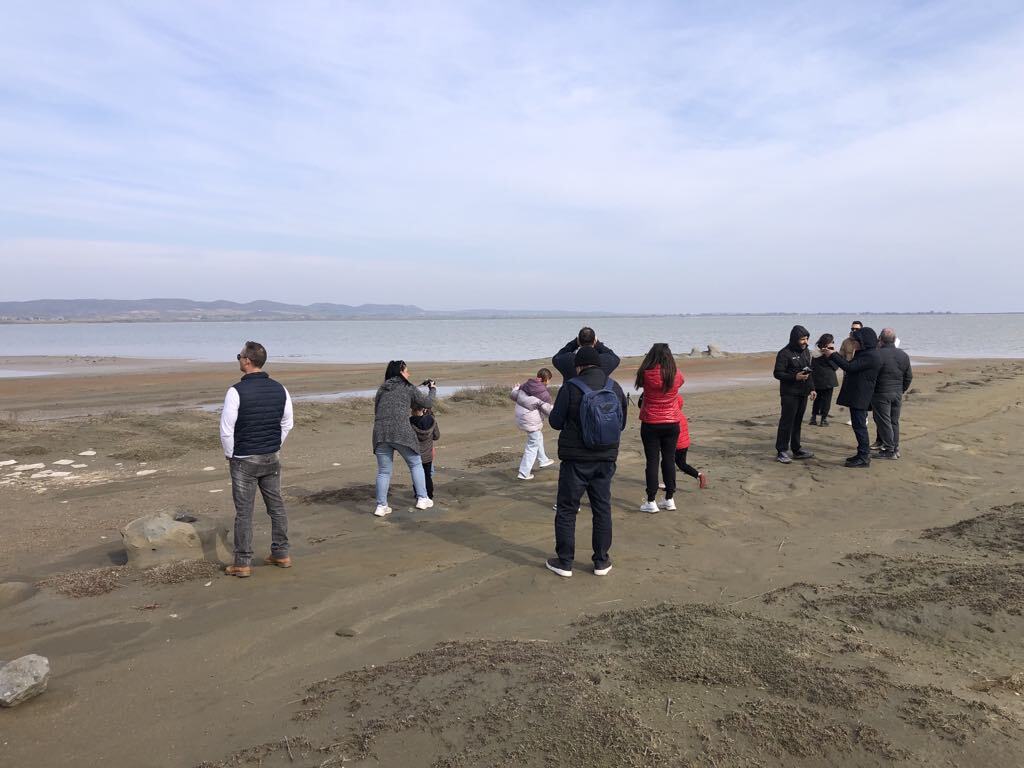 c22fd591 e809 478a 8e3a 33c0c9b6a6de