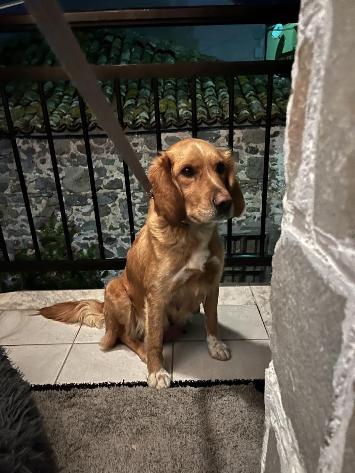 484090840 1050269300470967 4852308188510194172 n