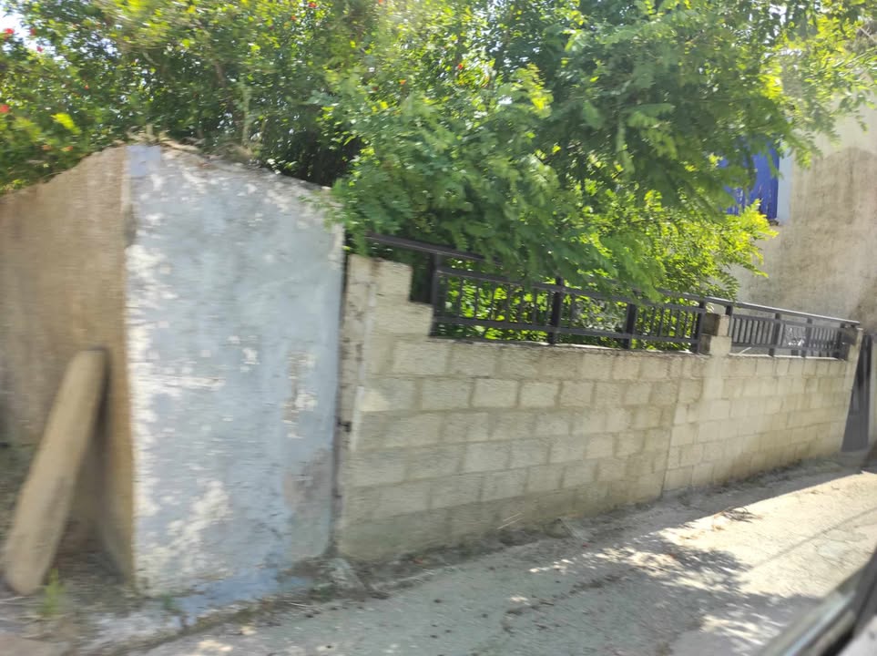 503349718 1767053663848523 364263185617810599 n