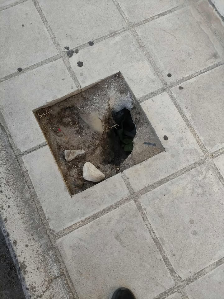 529385135 1794733084760235 528589564796914689 n