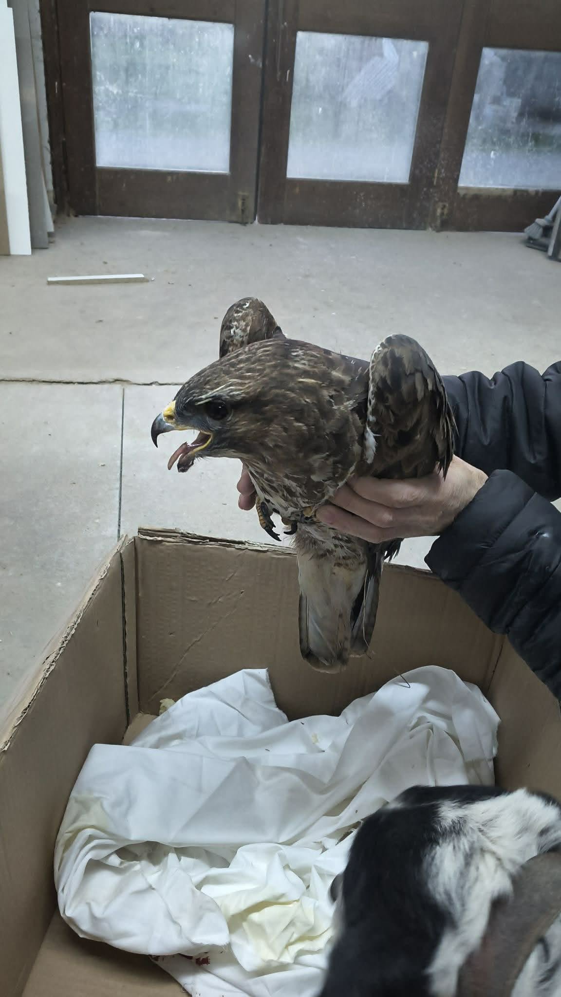 52d73e5d a43f 4f54 8f7c 4ee6347e339c