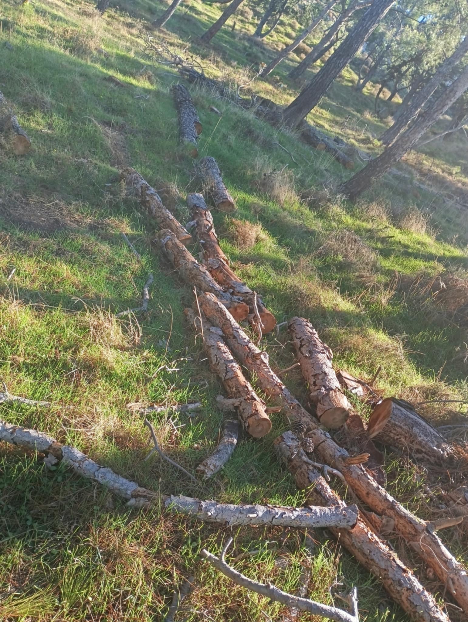 98f7aeb8 4fee 4d83 aa2f 072653aded1b