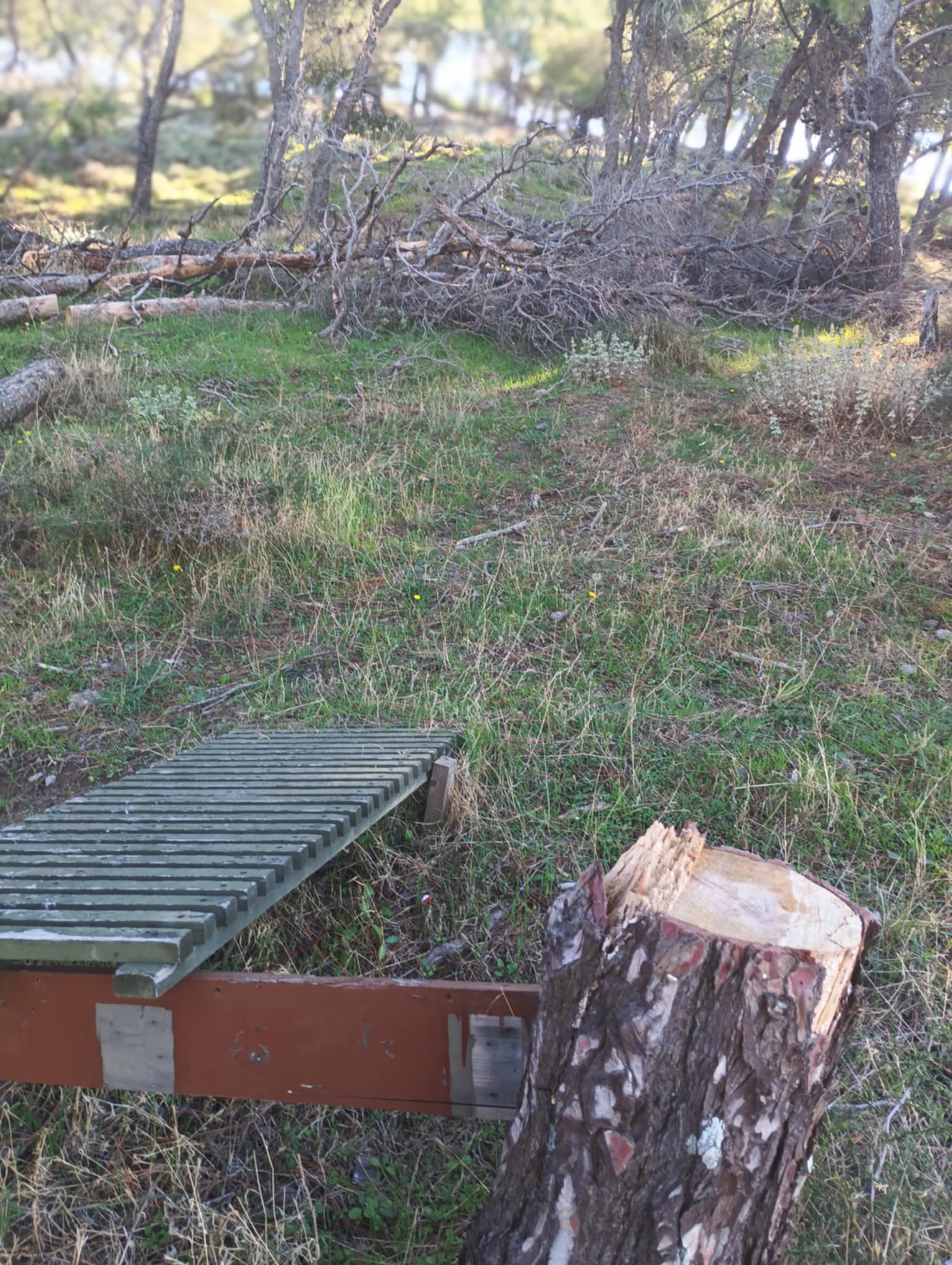 ae98c50e df5a 4e7b 9c72 e167af2bee8a