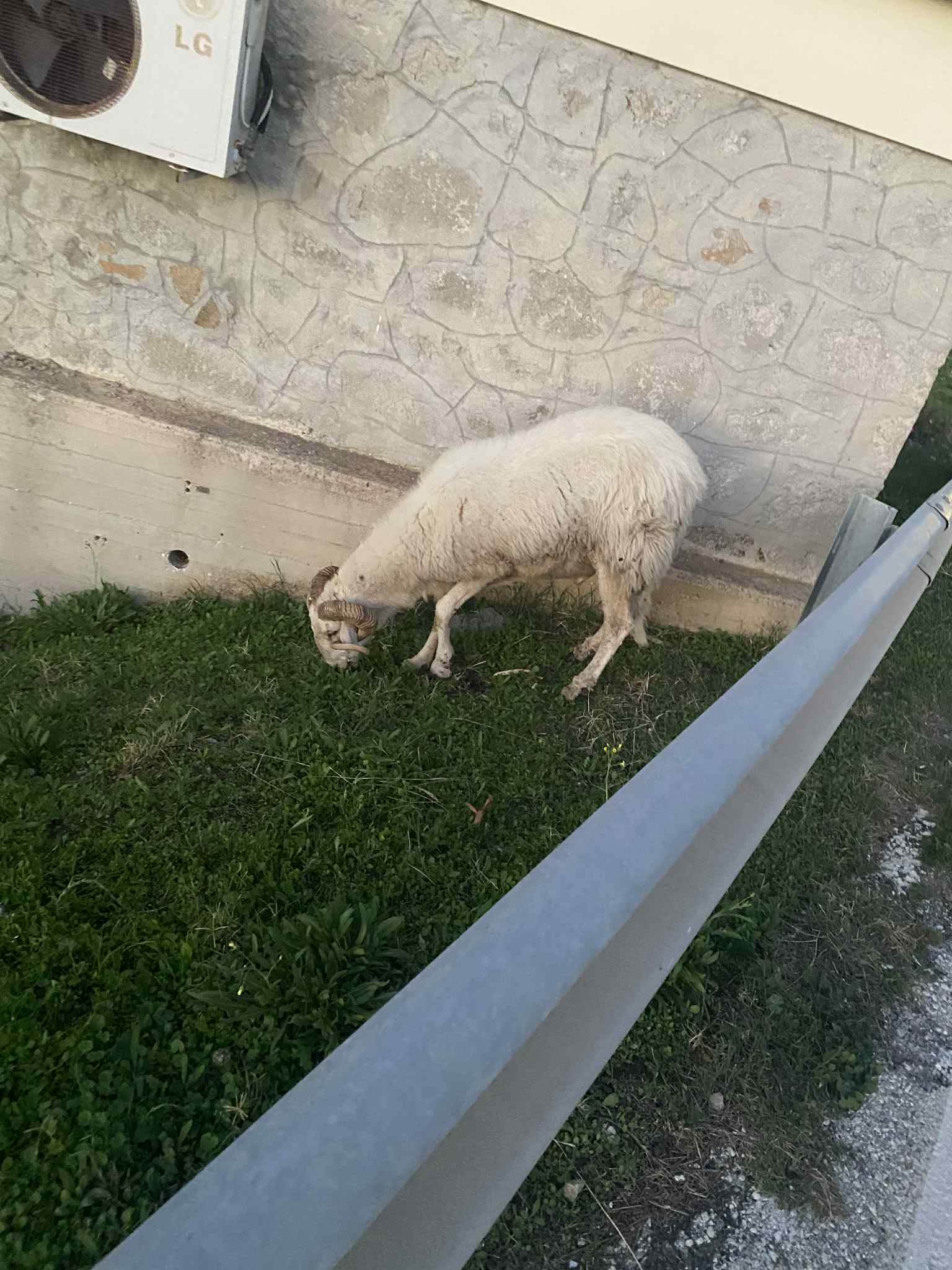 ba5e2365 c401 4760 8e16 bcaf8fe9185a