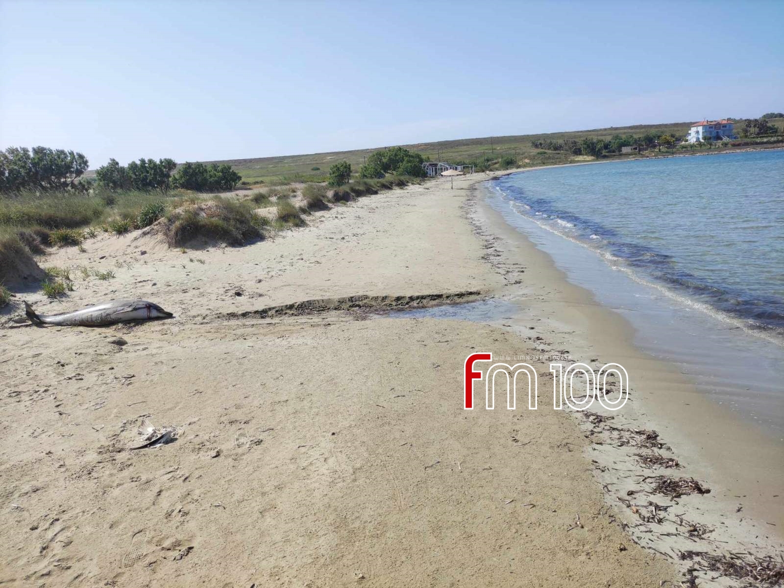 batch 2025 06 10 21 39 59 933