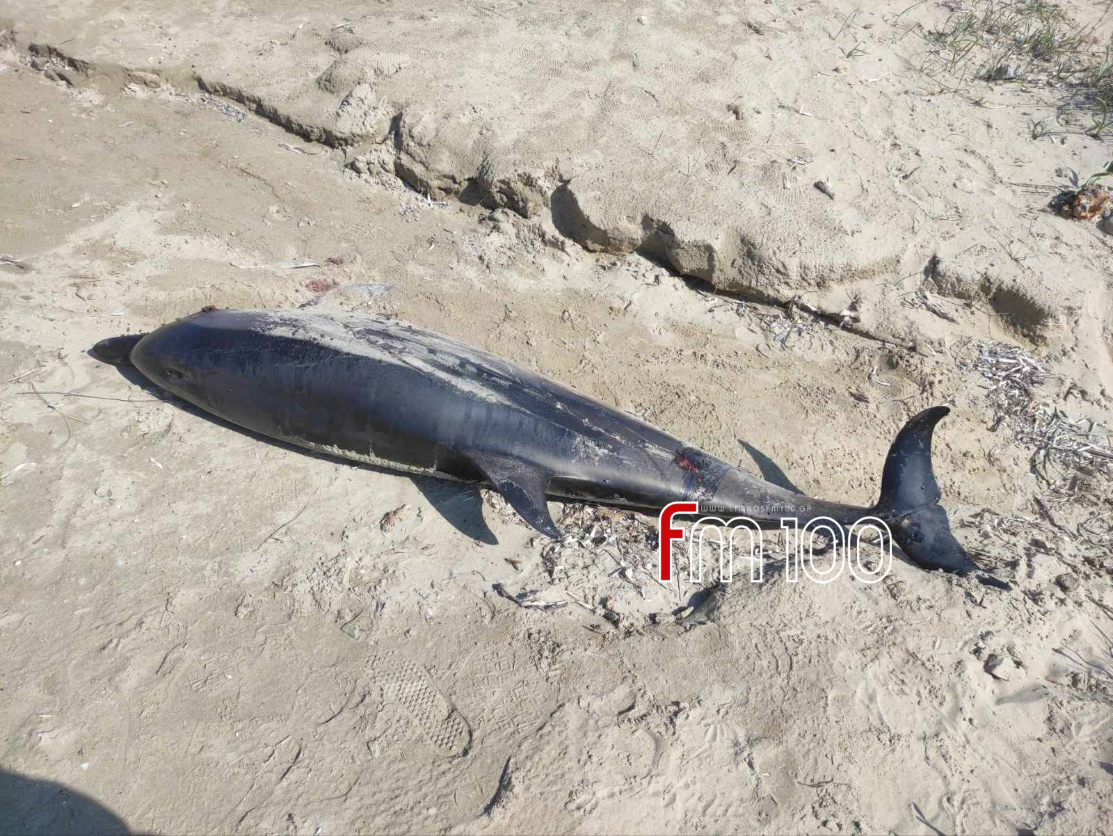 batch 2025 06 10 21 40 00 064