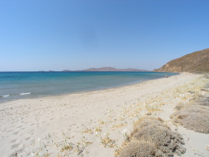 parthenomytos limnos 1