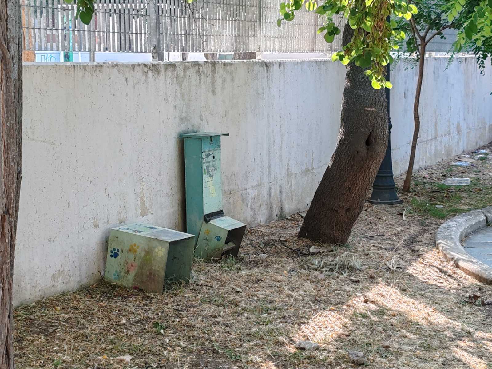 shared image 2