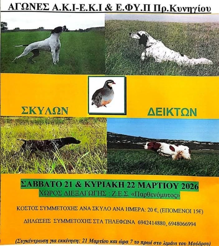 650302777 122126306775141848 1604278423794136668 n