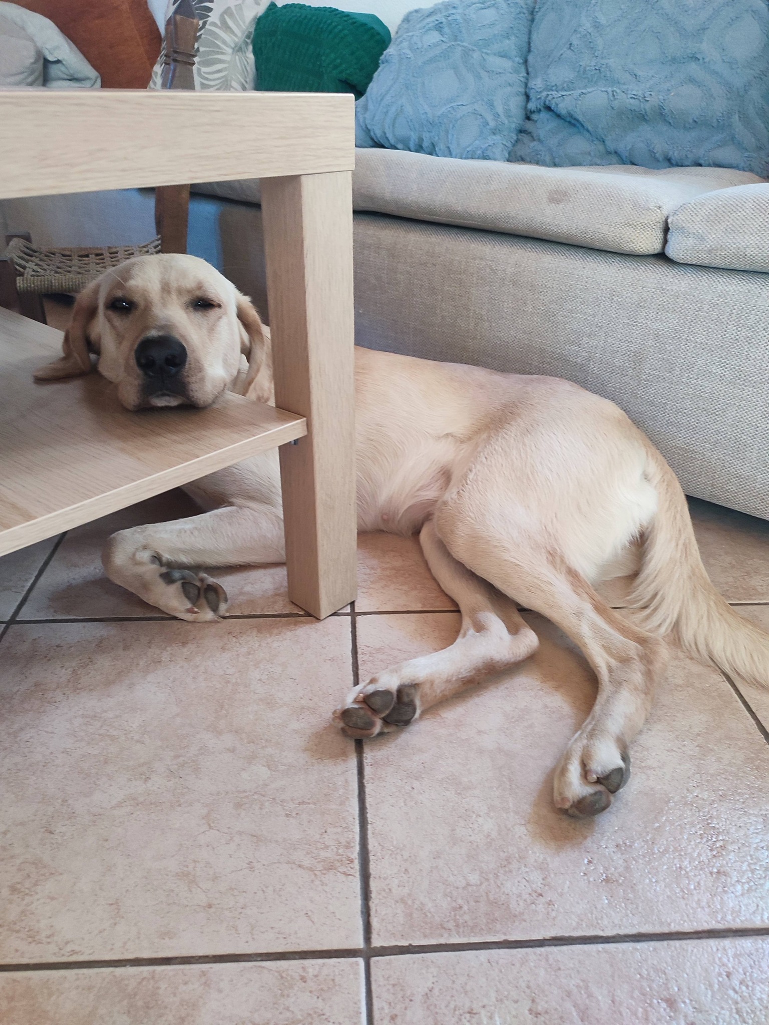 668728110 10174314164145483 3550451333933257784 n