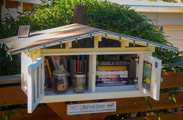 free library1