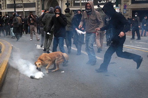733279 loukanikos 06