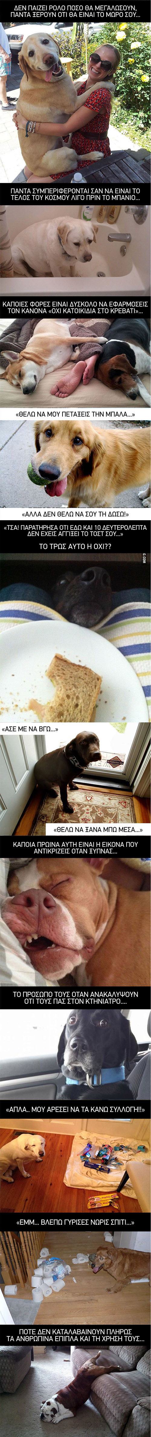 DOGS