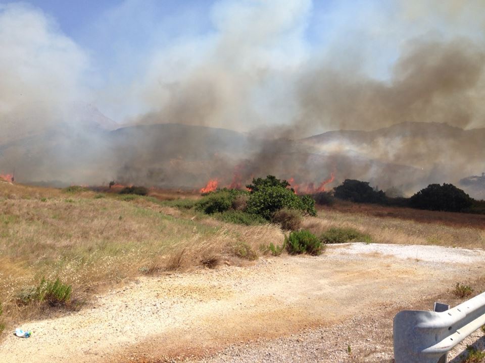 11265054 474133036100646 2123593420433497936 n