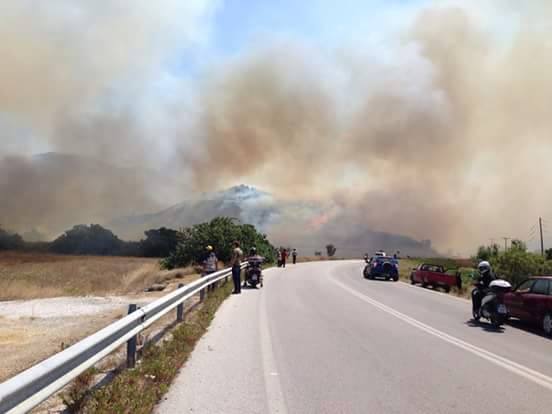 11823979 10204570166404651 2077290115 n