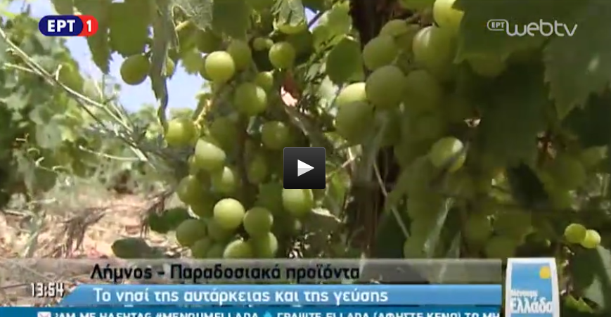 Screenshot 2015-08-08 13