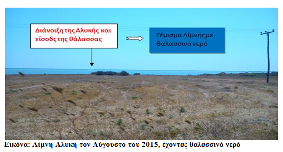 Screenshot 2015-08-14 1845175