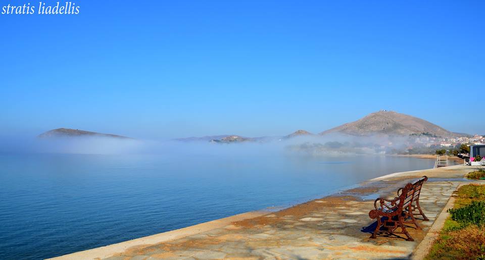 11221824 835445763239007 8852144810766339659 n