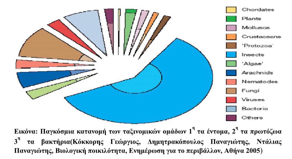 12016670 10200868100340352 1405537151 n