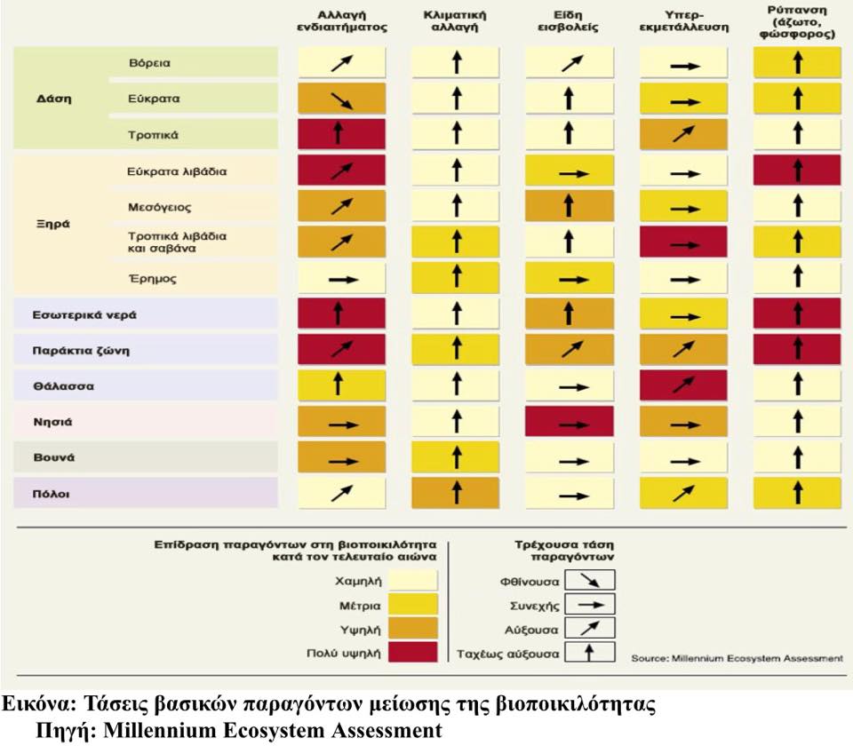 12023107 10200868100540357 1387875702 n