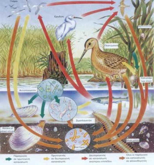 12028961 10200868100380353 984374652 n