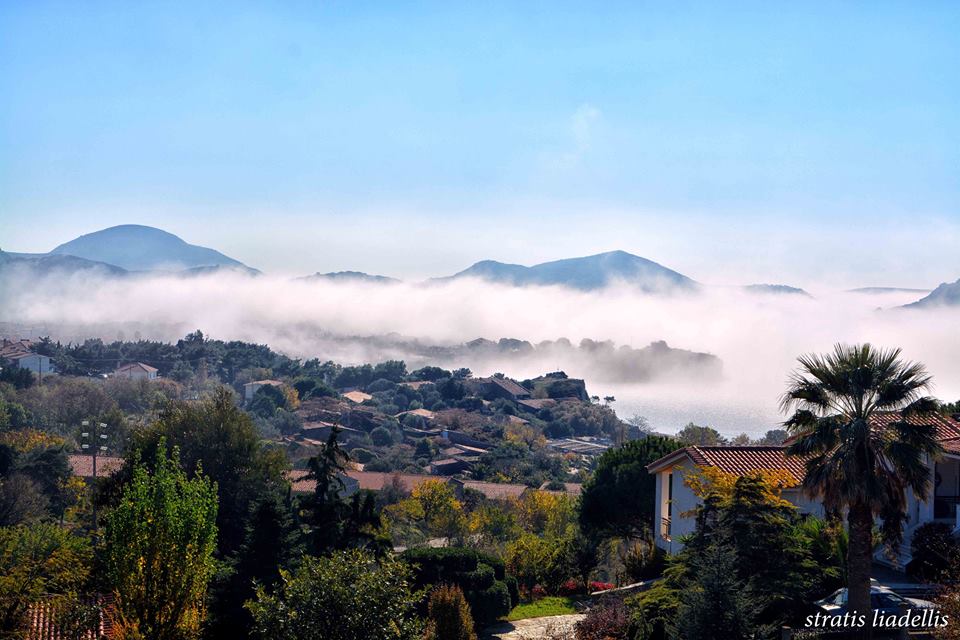 12243482 835445916572325 6690031593968738802 n