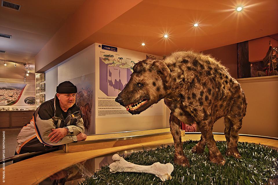 kentro-provolis-lofou-kilkis